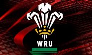 Wales v South Africa will be shown live at Bedwas RFC
